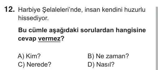 7. Sınıf Türkçe 2018 İOKBS Bursluluk Sınavı 12. Soru görseli