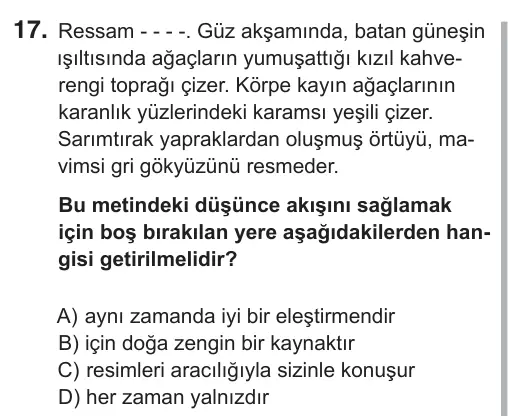 7. Sınıf Türkçe 2018 İOKBS Bursluluk Sınavı 17. Soru görseli