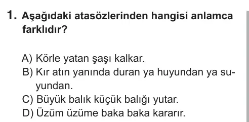 7. Sınıf Türkçe 2018 İOKBS Bursluluk Sınavı 1. Soru görseli