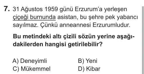 7. Sınıf Türkçe 2018 İOKBS Bursluluk Sınavı 7. Soru görseli