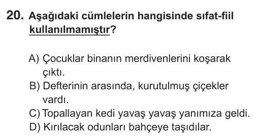 8. Sınıf Türkçe 2018 İOKBS Bursluluk Sınavı 20. Soru görseli