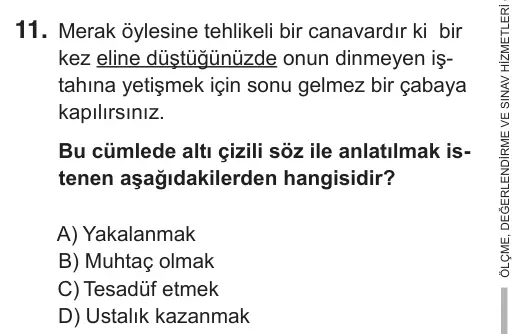 9, 10, 11. Sınıf Türk Dili ve Edebiyatı 2018 İOKBS Bursluluk Sınavı 11. Soru görseli