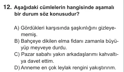 9, 10, 11. Sınıf Türk Dili ve Edebiyatı 2018 İOKBS Bursluluk Sınavı 12. Soru görseli