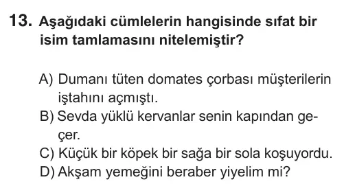 9, 10, 11. Sınıf Türk Dili ve Edebiyatı 2018 İOKBS Bursluluk Sınavı 13. Soru görseli