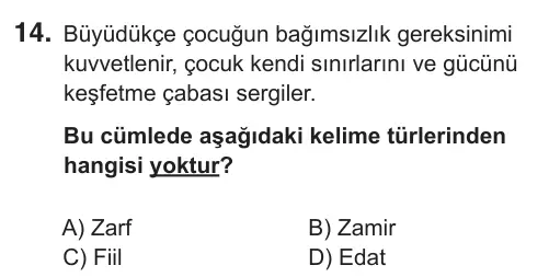 9, 10, 11. Sınıf Türk Dili ve Edebiyatı 2018 İOKBS Bursluluk Sınavı 14. Soru görseli
