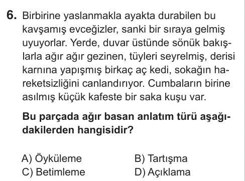9, 10, 11. Sınıf Türk Dili ve Edebiyatı 2018 İOKBS Bursluluk Sınavı 6. Soru görseli