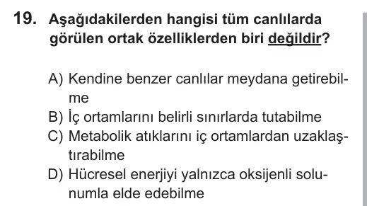 9, 10, 11. Sınıf Fen Bilimleri 2018 İOKBS Bursluluk Sınavı 19. Soru görseli