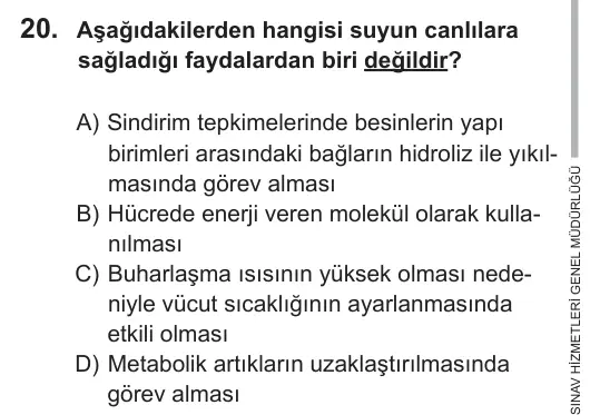 9, 10, 11. Sınıf Fen Bilimleri 2018 İOKBS Bursluluk Sınavı 20. Soru görseli