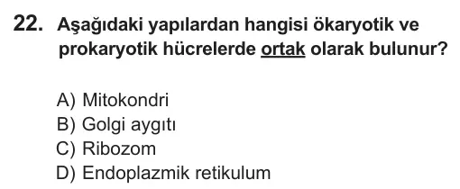 9, 10, 11. Sınıf Fen Bilimleri 2018 İOKBS Bursluluk Sınavı 22. Soru görseli