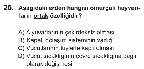9, 10, 11. Sınıf Fen Bilimleri 2018 İOKBS Bursluluk Sınavı 25. Soru görseli
