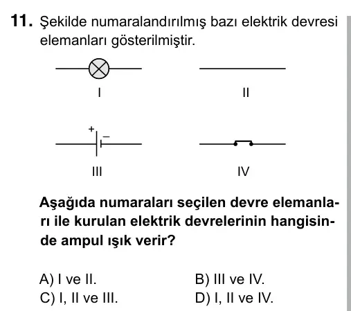 5. Sınıf Fen Bilimleri 2019 İOKBS Bursluluk Sınavı 11. Soru görseli
