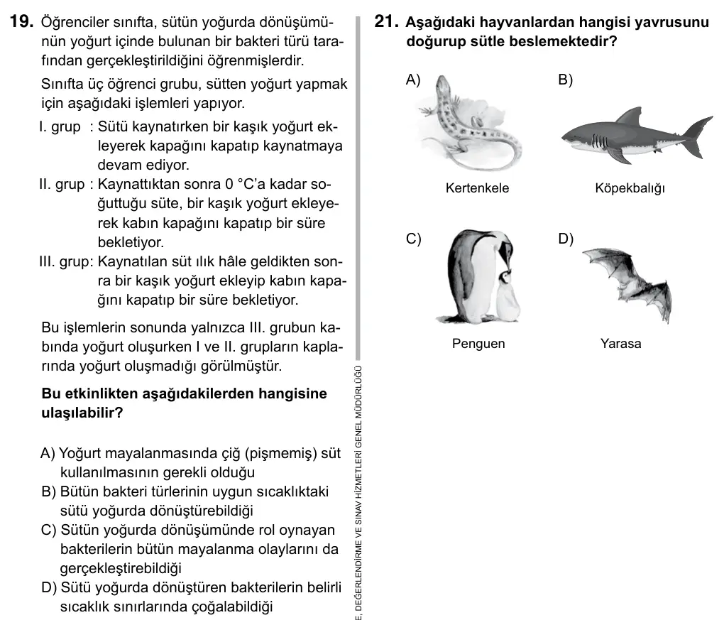 5. Sınıf Fen Bilimleri 2019 İOKBS Bursluluk Sınavı 19. Soru görseli
