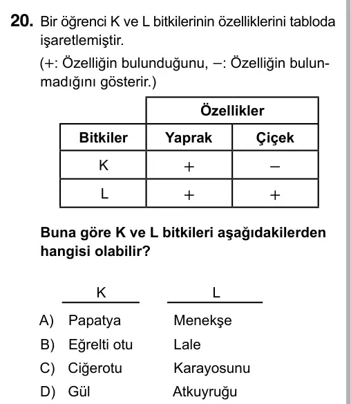 5. Sınıf Fen Bilimleri 2019 İOKBS Bursluluk Sınavı 20. Soru görseli