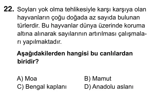 5. Sınıf Fen Bilimleri 2019 İOKBS Bursluluk Sınavı 22. Soru görseli