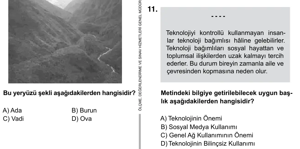 5. Sınıf Sosyal Bilgiler 2019 İOKBS Bursluluk Sınavı 11. Soru görseli