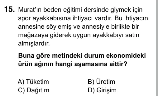 5. Sınıf Sosyal Bilgiler 2019 İOKBS Bursluluk Sınavı 15. Soru görseli