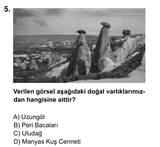5. Sınıf Sosyal Bilgiler 2019 İOKBS Bursluluk Sınavı 5. Soru görseli