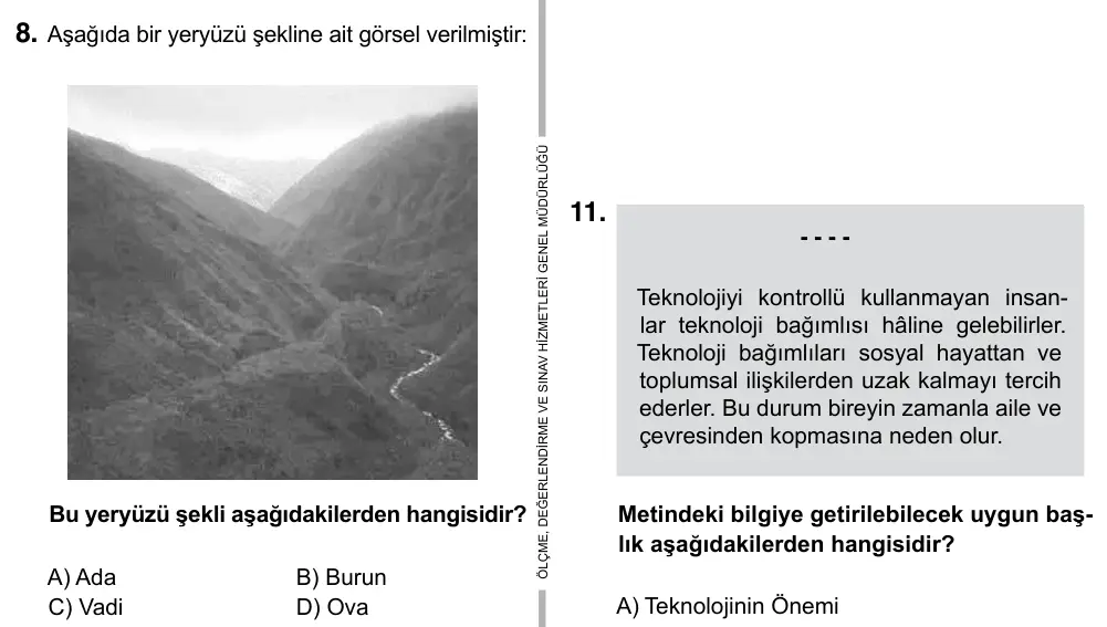 5. Sınıf Sosyal Bilgiler 2019 İOKBS Bursluluk Sınavı 8. Soru görseli