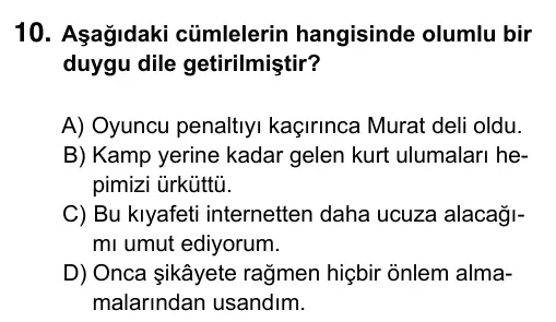 5. Sınıf Türkçe 2019 İOKBS Bursluluk Sınavı 10. Soru görseli