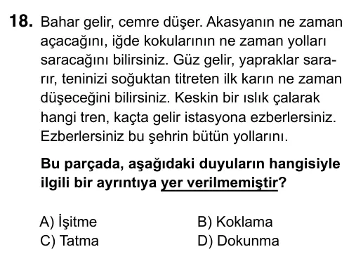 5. Sınıf Türkçe 2019 İOKBS Bursluluk Sınavı 18. Soru görseli