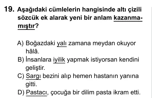 5. Sınıf Türkçe 2019 İOKBS Bursluluk Sınavı 19. Soru görseli