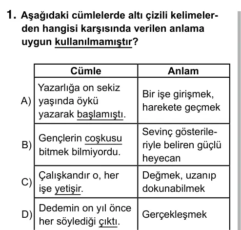 5. Sınıf Türkçe 2019 İOKBS Bursluluk Sınavı 1. Soru görseli
