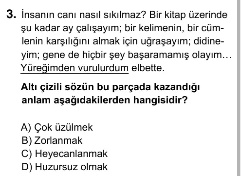 5. Sınıf Türkçe 2019 İOKBS Bursluluk Sınavı 3. Soru görseli