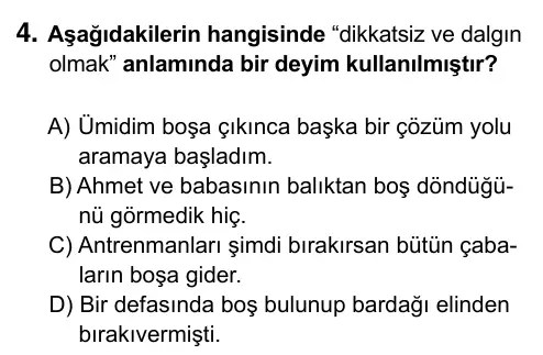 5. Sınıf Türkçe 2019 İOKBS Bursluluk Sınavı 4. Soru görseli