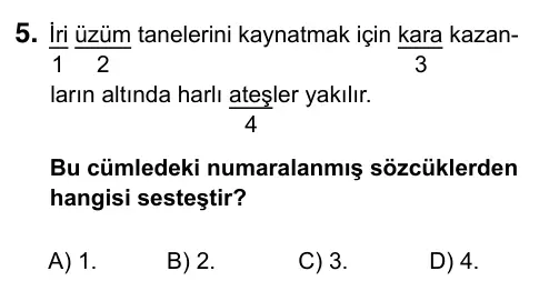 5. Sınıf Türkçe 2019 İOKBS Bursluluk Sınavı 5. Soru görseli