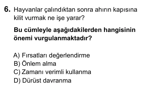 5. Sınıf Türkçe 2019 İOKBS Bursluluk Sınavı 6. Soru görseli