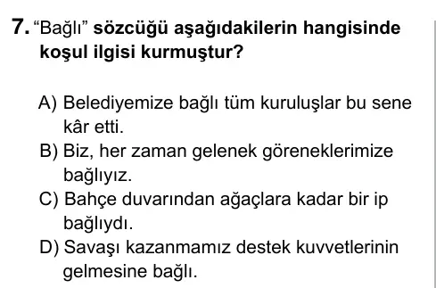 5. Sınıf Türkçe 2019 İOKBS Bursluluk Sınavı 7. Soru görseli