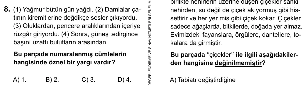 5. Sınıf Türkçe 2019 İOKBS Bursluluk Sınavı 8. Soru görseli