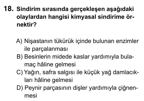 6. Sınıf Fen Bilimleri 2019 İOKBS Bursluluk Sınavı 18. Soru görseli