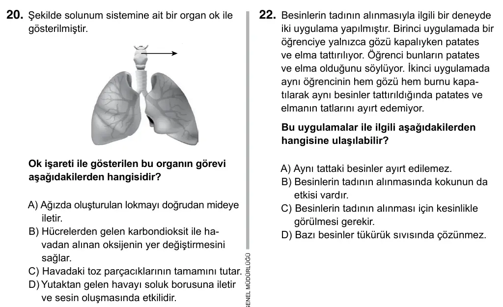 6. Sınıf Fen Bilimleri 2019 İOKBS Bursluluk Sınavı 20. Soru görseli