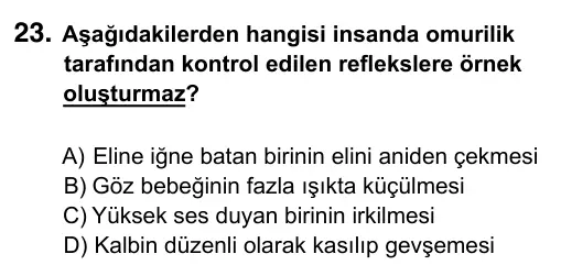 6. Sınıf Fen Bilimleri 2019 İOKBS Bursluluk Sınavı 23. Soru görseli