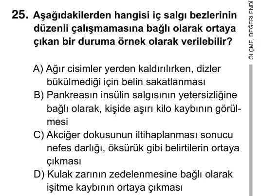 6. Sınıf Fen Bilimleri 2019 İOKBS Bursluluk Sınavı 25. Soru görseli
