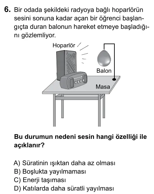 6. Sınıf Fen Bilimleri 2019 İOKBS Bursluluk Sınavı 6. Soru görseli