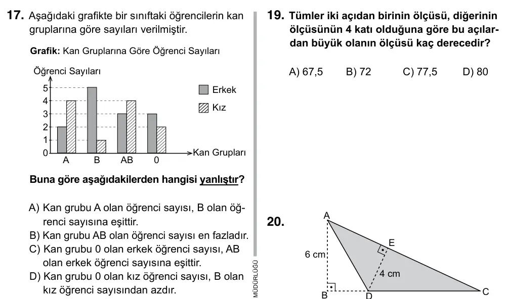 6. Sınıf Matematik 2019 İOKBS Bursluluk Sınavı 17. Soru görseli
