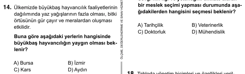 6. Sınıf Sosyal Bilgiler 2019 İOKBS Bursluluk Sınavı 14. Soru görseli