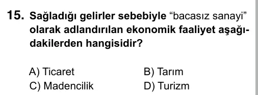 6. Sınıf Sosyal Bilgiler 2019 İOKBS Bursluluk Sınavı 15. Soru görseli