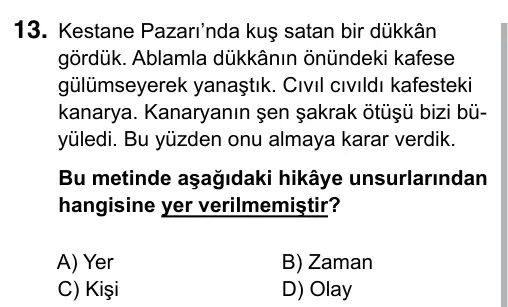 6. Sınıf Türkçe 2019 İOKBS Bursluluk Sınavı 13. Soru görseli