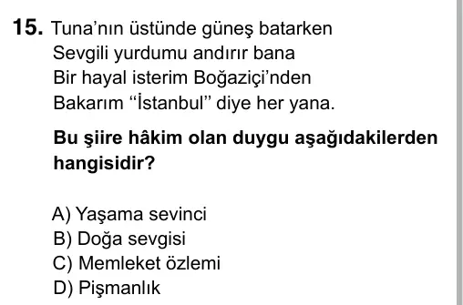 6. Sınıf Türkçe 2019 İOKBS Bursluluk Sınavı 15. Soru görseli