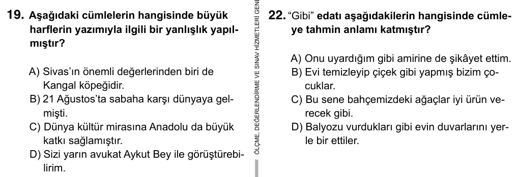 6. Sınıf Türkçe 2019 İOKBS Bursluluk Sınavı 19. Soru görseli
