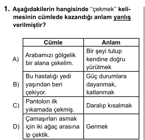 6. Sınıf Türkçe 2019 İOKBS Bursluluk Sınavı 1. Soru görseli