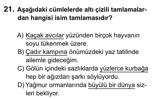 6. Sınıf Türkçe 2019 İOKBS Bursluluk Sınavı 21. Soru görseli