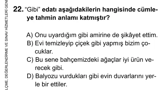 6. Sınıf Türkçe 2019 İOKBS Bursluluk Sınavı 22. Soru görseli
