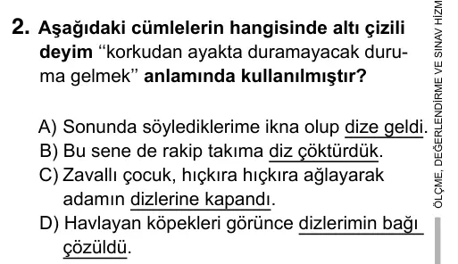 6. Sınıf Türkçe 2019 İOKBS Bursluluk Sınavı 2. Soru görseli
