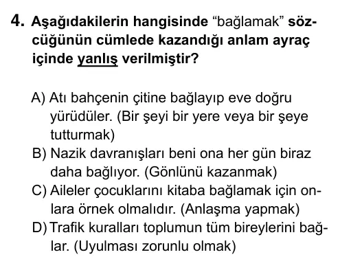 6. Sınıf Türkçe 2019 İOKBS Bursluluk Sınavı 4. Soru görseli