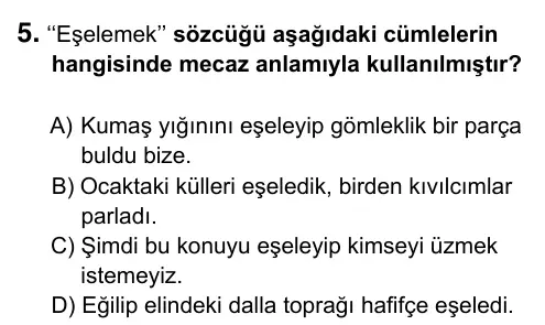 6. Sınıf Türkçe 2019 İOKBS Bursluluk Sınavı 5. Soru görseli