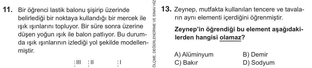 7. Sınıf Fen Bilimleri 2019 İOKBS Bursluluk Sınavı 13. Soru görseli